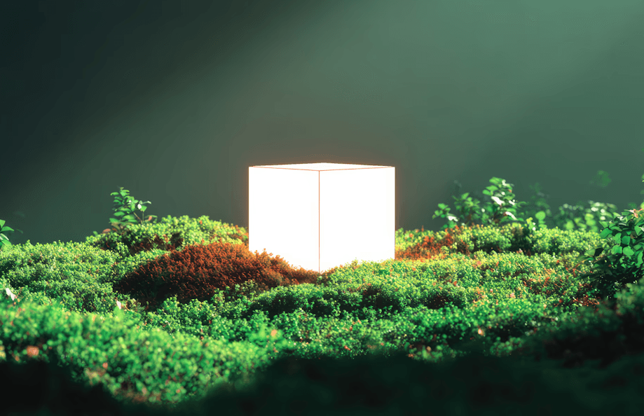 Glowing cube surrounded by a green landscape